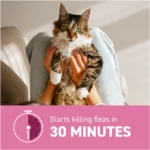 Capstar™ 2-25 Lb Cat Flea Treatment - Image 5