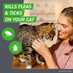 Frontline Plus Cat Flea & Tick Treatment - Image 2