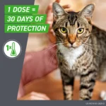Frontline Plus Cat Flea & Tick Treatment - Image 5