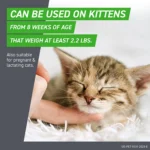 Frontline Plus Cat Flea & Tick Treatment - Image 6