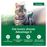 Advantage® II Over 9 lbs Cat Flea Prevention & Treatment - Image 3