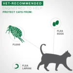 Advantage® II Over 9 lbs Cat Flea Prevention & Treatment - Image 6