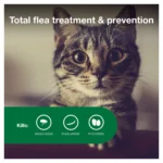 Advantage® II 5-9 lbs Cat Flea Prevention & Treatment - Image 4