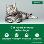 Advantage Topical Cat Flea Treatment and Prevention For Large Cats Over 9 lbs. - Image 3