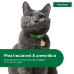 Advantage Topical Cat Flea Treatment and Prevention For Large Cats Over 9 lbs. - Image 4