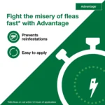 Advantage Topical Cat Flea Treatment and Prevention For Large Cats Over 9 lbs. - Image 5