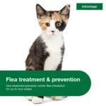 Advantage Topical Cat Flea Treatment and Prevention For Small Cats 2-9 lbs. - Image 4