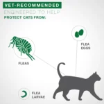 Advantage® II 2-5 lbs Kitten Flea Prevention & Treatment - Image 6
