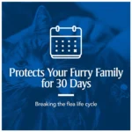 PetArmor® Plus for Cats Over 1.5 lbs Flea & Tick Spot On Treatment - Image 5