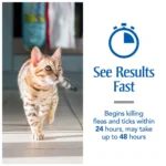 PetArmor® Plus for Cats Over 1.5 lbs Flea & Tick Spot On Treatment - Image 6
