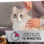 NextStar® Flea & Tick Prevention for Cats - Image 5