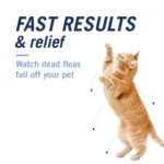 PetArmor® CapAction Oral Flea Treatment for Cats, 6 doses - Image 3