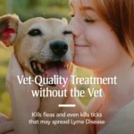 PetArmor® Home Flea & Tick Household Spray - Image 4