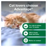Advantage® Flea & Tick Kitten and Cat Shampoo - Image 3