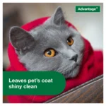 Advantage® Flea & Tick Kitten and Cat Shampoo - Image 5