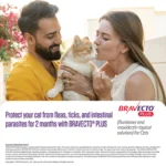 Bravecto Plus Topical Solution for Cats - Image 4
