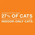 Advantage Multi for Cats 9.1-18 lbs - Image 3