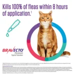 Bravecto Topical Solution for Cats, 13.8 - 27.5 lbs 500 mg Purple - Image 2