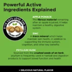Pet Honesty Hairball Support Chews for Cats - Image 3