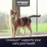 Nutramax® Cosequin® Soft Chews Joint Supplement for Cats - Image 4