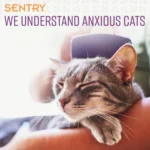 Sentry Calming Chews for Cats - Image 5