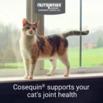 Cosequin® Joint Health Maximum Strength + Boswellia Cat Supplement - Image 3