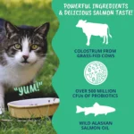 Under The Weather Cat Vital Colostrum Gel for Cat - Image 3