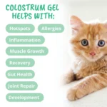 Under The Weather Cat Vital Colostrum Gel for Cat - Image 4