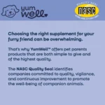 YumWell™ Dog Hip & Joint Chews - Image 4