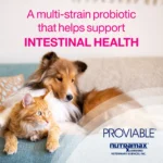 Nutramax Cat Proviable Capsules Digestive Supplement - Image 3