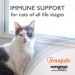 Nurtamax Imuquin - Immune Support for Cats - Image 3