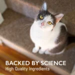 Nurtamax Imuquin - Immune Support for Cats - Image 5