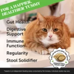 Pet Honesty Probiotics Gut + Immune Health Chews Supplement for Cats 3.7 oz - Image 2