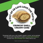 Pet Honesty Probiotics Gut + Immune Health Chews Supplement for Cats 3.7 oz - Image 4