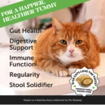 Pet Honesty Probiotics Gut + Immune Health Chews Supplement for Cats 3.7 oz - Image 7