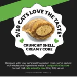 Pet Honesty Probiotics Gut + Immune Health Chews Supplement for Cats 3.7 oz - Image 9