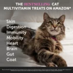 PetHonesty Dual Texture Multivitamin Chews Supplement for Cats 3.7 oz - Image 2