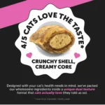 PetHonesty Dual Texture Multivitamin Chews Supplement for Cats 3.7 oz - Image 9
