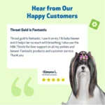 Pet Wellbeing Throat GOLD Liquid Respiratory Dog & Cat Supplement - Image 10