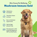 Pet Wellbeing Mushroom Immune GOLD Liquid Immune Dog & Cat Supplement - Image 3