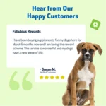 Pet Wellbeing Mushroom Immune GOLD Liquid Immune Dog & Cat Supplement - Image 10