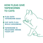 Elanco Tapeworm Dewormer Tablets for Cats - Image 4