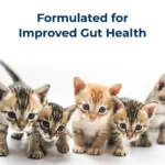 PetAg® KMR® Liquid Kitten Milk Replacer - Image 5