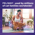 Feliway® Classic Calming Spray - 60ml - Image 6