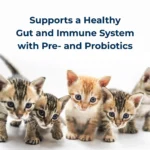 PetAg® PetLac™ Kitten Milk Replacement - Image 5