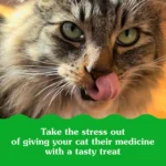 Greenies™ Feline Pill Pockets Cat Treats - Salmon - Image 4