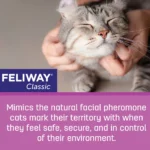 Feliway® Classic Diffuser Refills - Image 4
