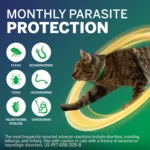 NexGard COMBO Topical Solution for Cats - 5.6-16.5 lbs, Yellow Box - Image 3