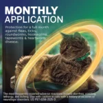 NexGard COMBO Topical Solution for Cats - 5.6-16.5 lbs, Yellow Box - Image 5