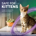 NexGard COMBO Topical Solution for Cats - 5.6-16.5 lbs, Yellow Box - Image 7